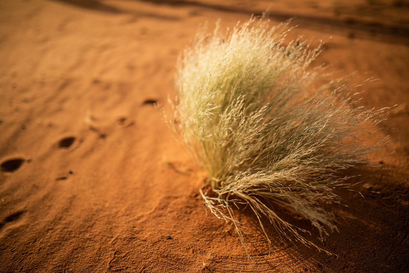 Human & Nature  outoftime 87